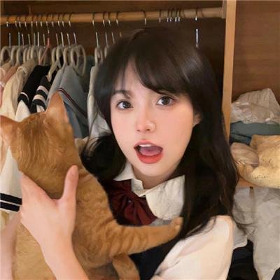 有趣的小兔子